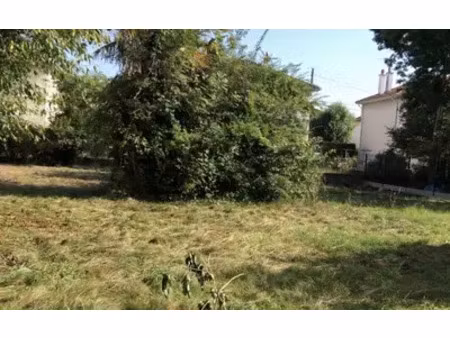 tarbes (65000)