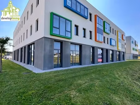 achat local professionnel 225m² ifs 14123