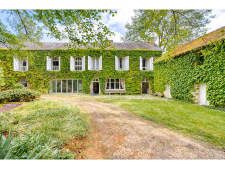 moulin du 19e siecle a chateau landon 2 hectares