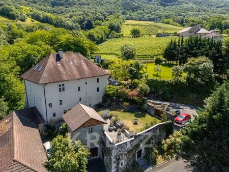 le château de la roche une demeure médiévale d'exception au coe