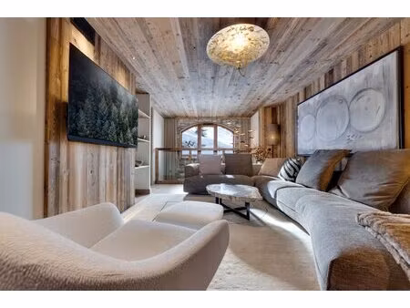 grand appartement avec espace spa
