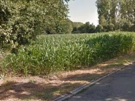 terrain agricole à vendre à donklaan berlare (rbw19184)