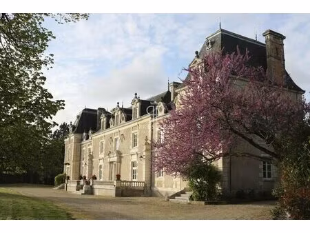 achat : demeure de prestige (86000)