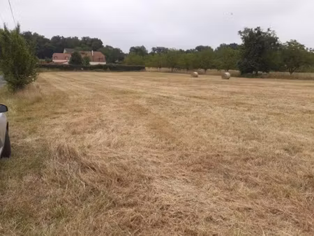 terrain - 3375 m²