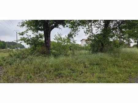 vente terrain à construire 1400 m² parentis-en-born (40160)