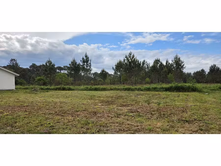 vente terrain à construire 518 m² parentis-en-born (40160)