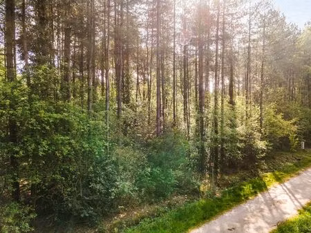 terrain à vendre à wechelderzande € 99.000 (lp6pq) - heylen vastgoed - herentals | zimmo