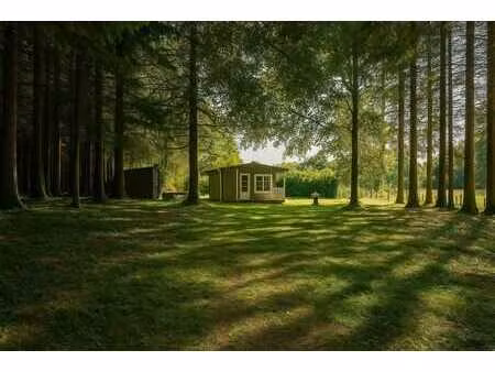 chalet meublé