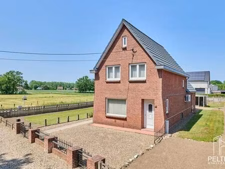 maison à vendre à overpelt € 285.000 (lp6qx) - pelter makelaardij | zimmo