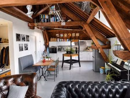 superbe et spacieux appartement 1 chambre de caractère