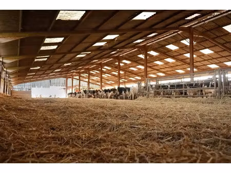 vente ferme à fresnes-en-woevre (55160)  1 900 000 €
