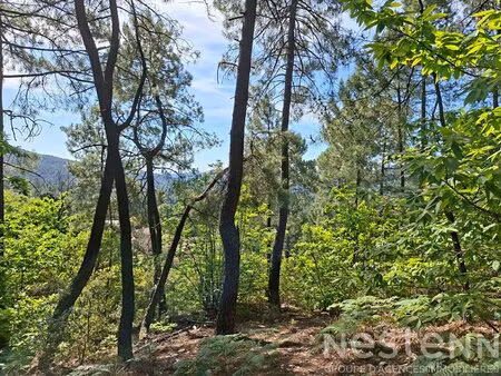 terrain à vendre de 24 800 m² à saint martin de boubaux - nestenn le collet-de-dèze