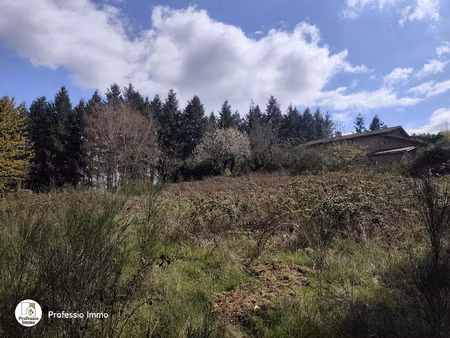 terrain constructible de 1679m2 à chauffailles