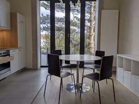 superbe studio en duplex avec terrasse
