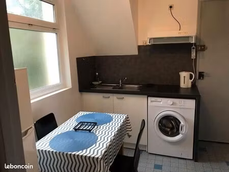 grand t1 meublé 28 m2 - amidonniers