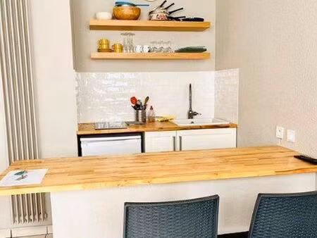 studio 1 pièce 20 m²