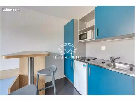 studio 1 pièce 19 m²