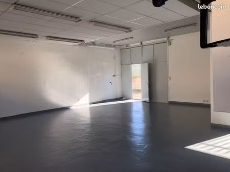 locaux professionnels villeneuve loubet