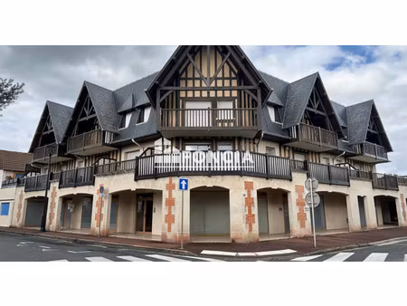 duplex de luxe à vendre à cabourg