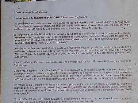 château à vendre à soudorgues