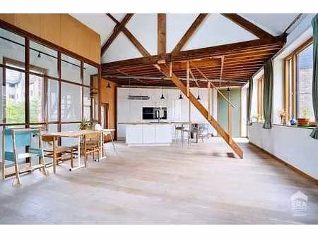 maison avec loft 2ch et atelier/ garage prof liberal poss.