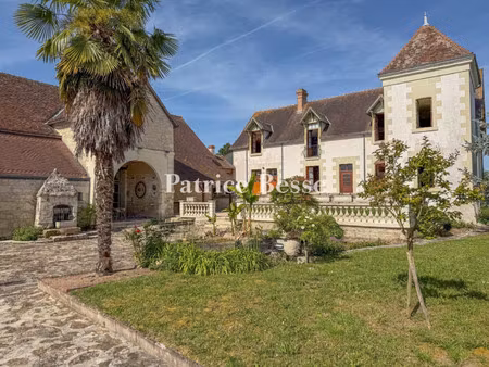 château à vendre à la roche-posay