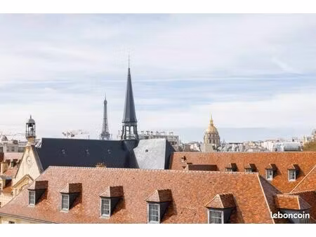 paris 6e vue tour eiffel - 85m² 3ch 3sdb jardin