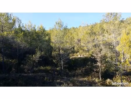 terrain de loisir 15 000 m² avec grotte – proche lac de carcès (83)