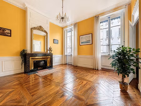 appartement de luxe à vendre dans le quartier cordeliers-célestins-bourse