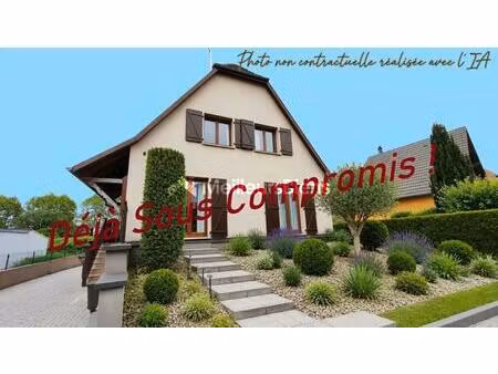 jolie maison au calme avec ses 3 chambres à huttenheim