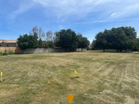 à vendre terrain à bâtir 1129 m2 muret (route d'eaunes)