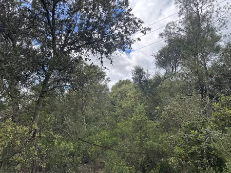 terrain de loisirs 1520m2