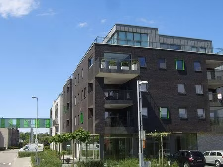 appartement à louer à overpelt € 850 (lp7jl) - immo eibo | zimmo