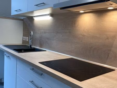 grand appartement t3 à bonneville