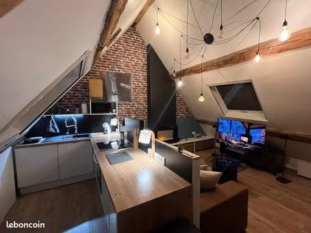 appartement meublé atypique / cosy marne la vallée