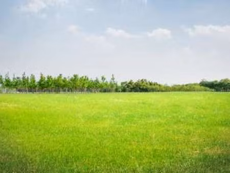 vente programme neuf terrain à ahuillé (53940) : à vendre terrain / ahuillé