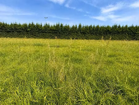 vente terrain 1000 m² à saint-pardoux-la-rivière (24470)  14 000 €