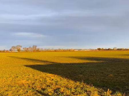 vente terrain 890 m² à sainte-lheurine (17520)  11 000 €