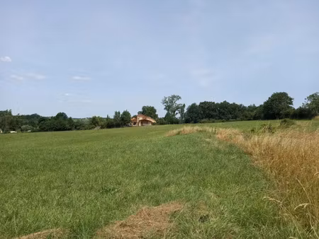 vente terrain 494 m² à salvagnac (81630)  34 500 €