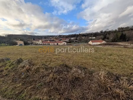 vente terrain 595 m² à lisle-en-rigault (55000)  19 755 €