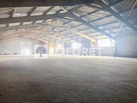 location bureaux et commerces à bressuire (79300) : à louer / 495m² bressuire