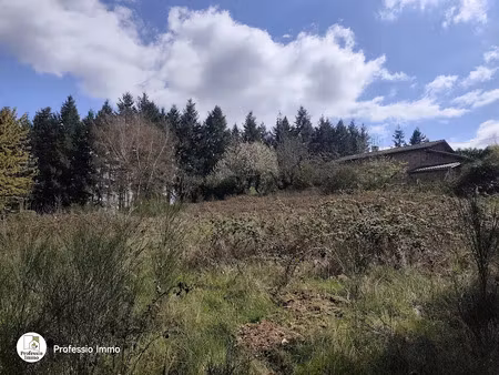 vente terrain 1679 m² à chauffailles (71170)  35 000 €