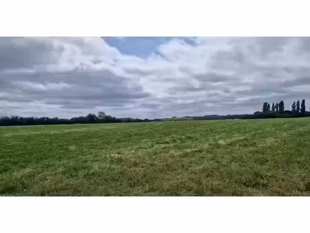 vente terrain 425 m² à thouarcé (49380)  36 520 €