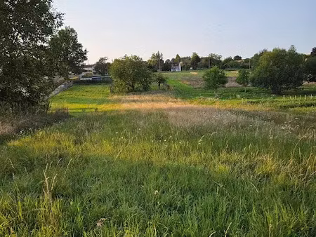 vente terrain 1780 m² à nailly (89100)  38 490 €