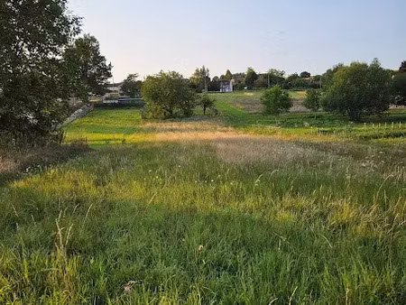 vente terrain 1780 m² à nailly (89100)  38 490 €