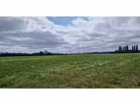 vente terrain 569 m² à thouarcé (49380)  43 201 €