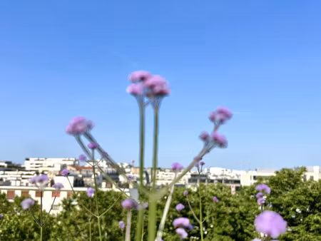 duplex de luxe à vendre dans le quartier ile de la jatte-parc d'orléans