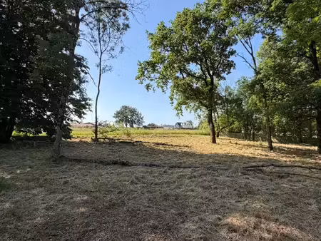 vente terrain 871 m² à ancerville (55170)  48 500 €