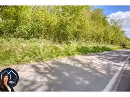 vente terrain à batir 1568 m² à maintenon (28130)  77 000 €