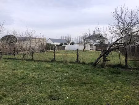 vente terrain 475 m² à le lion-d'angers (49220)  50 000 €